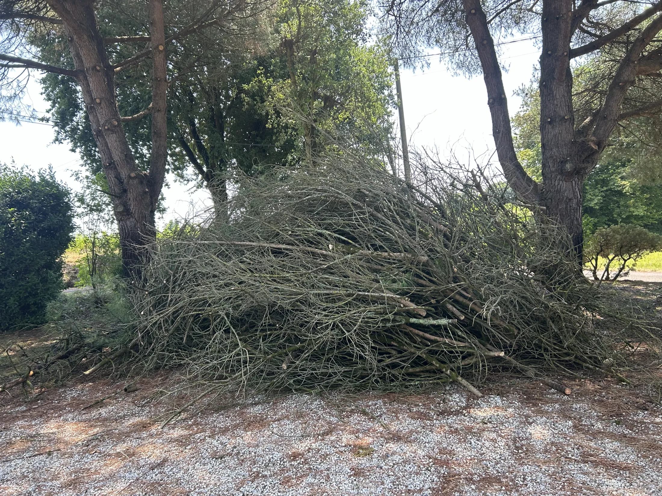 Avant — débarras d'extérieur et d'encombrants végétaux en Gironde — Débarras la Maison